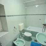 فيلة Zonti